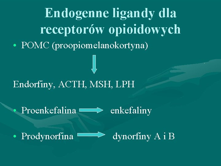 Endogenne ligandy dla receptorów opioidowych • POMC (proopiomelanokortyna) Endorfiny, ACTH, MSH, LPH • Proenkefalina