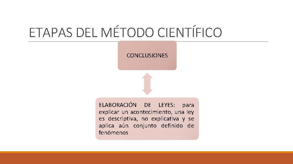 ETAPAS DEL MÉTODO CIENTÍFICO CONCLUSIONES ELABORACIÓN DE LEYES: para explicar un acontecimiento, una ley