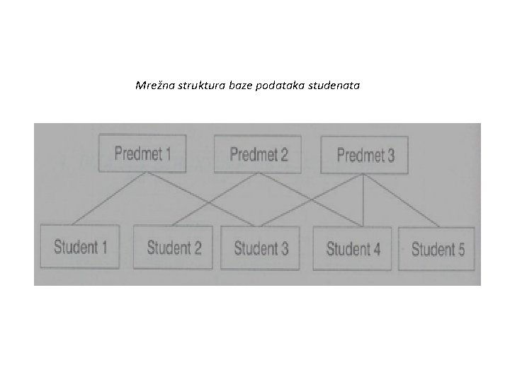 Mrežna struktura baze podataka studenata 