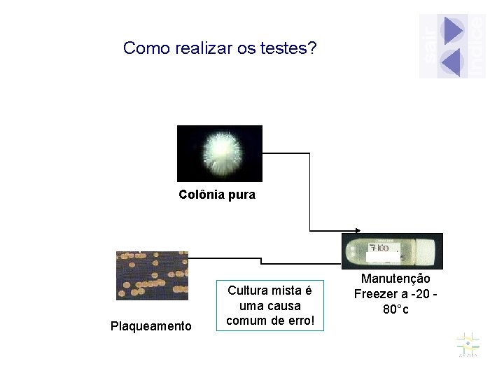 Como realizar os testes? Colônia pura Plaqueamento Cultura mista é uma causa comum de