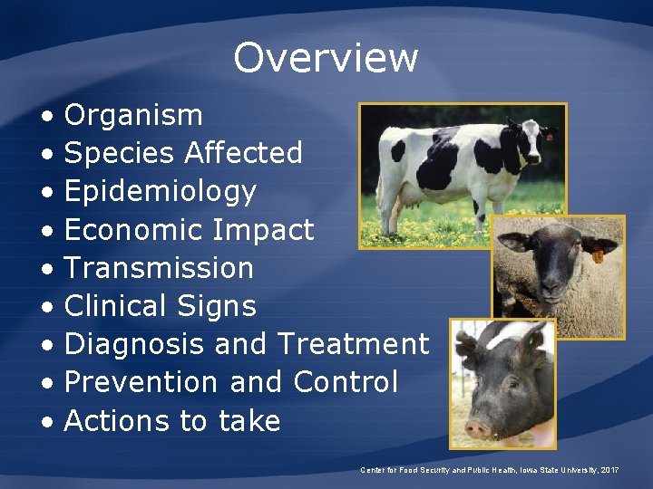 Overview • Organism • Species Affected • Epidemiology • Economic Impact • Transmission •