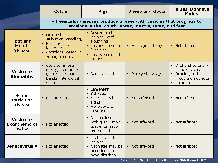 Cattle Pigs Sheep and Goats Horses, Donkeys, Mules All vesicular diseases produce a fever