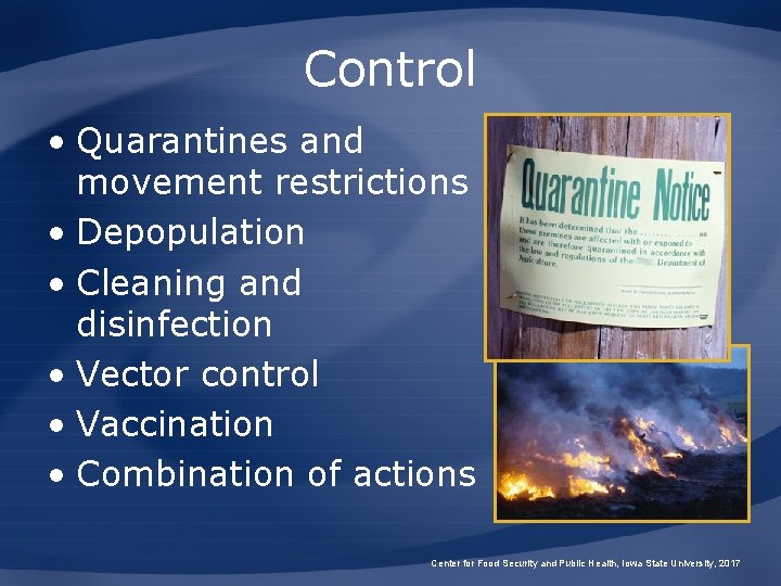 Control • Quarantines and movement restrictions • Depopulation • Cleaning and disinfection • Vector