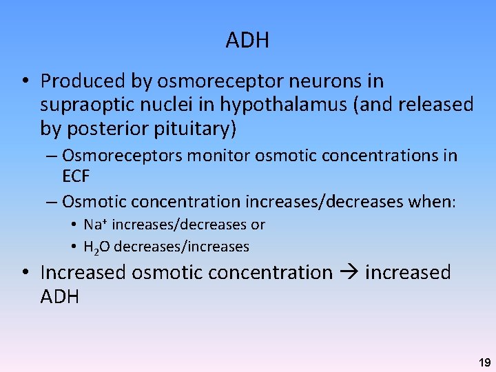 ADH • Produced by osmoreceptor neurons in supraoptic nuclei in hypothalamus (and released by