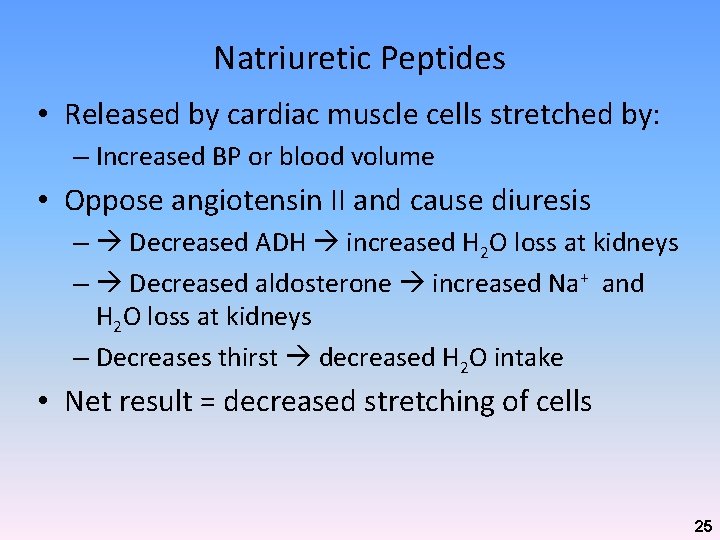 Natriuretic Peptides • Released by cardiac muscle cells stretched by: – Increased BP or