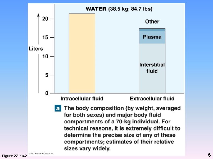 Body Fluid Compartments Figure 27– 1 a-2 5 