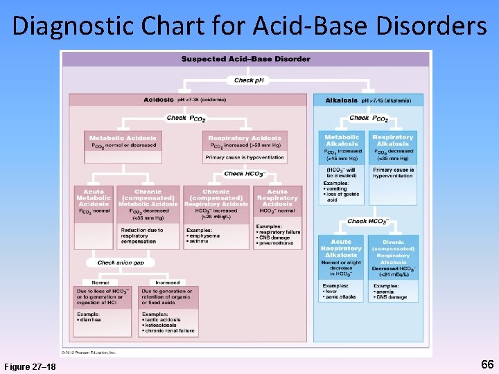 Diagnostic Chart for Acid-Base Disorders Figure 27– 18 66 