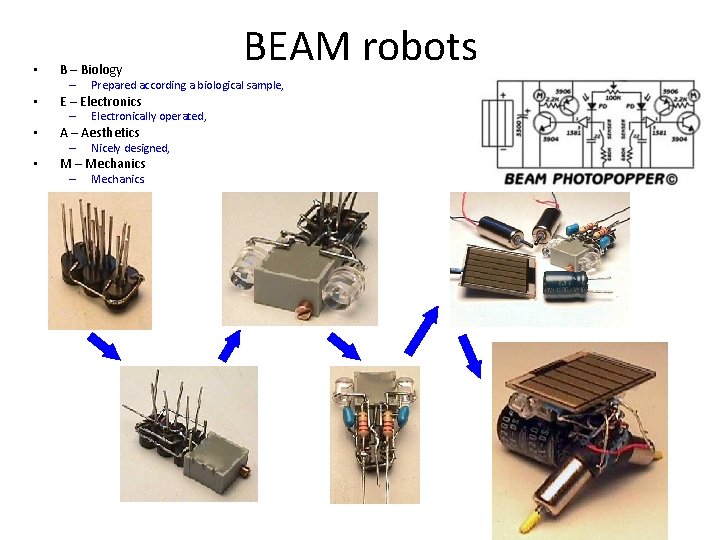  • B – Biology – • • Electronically operated, A – Aesthetics –