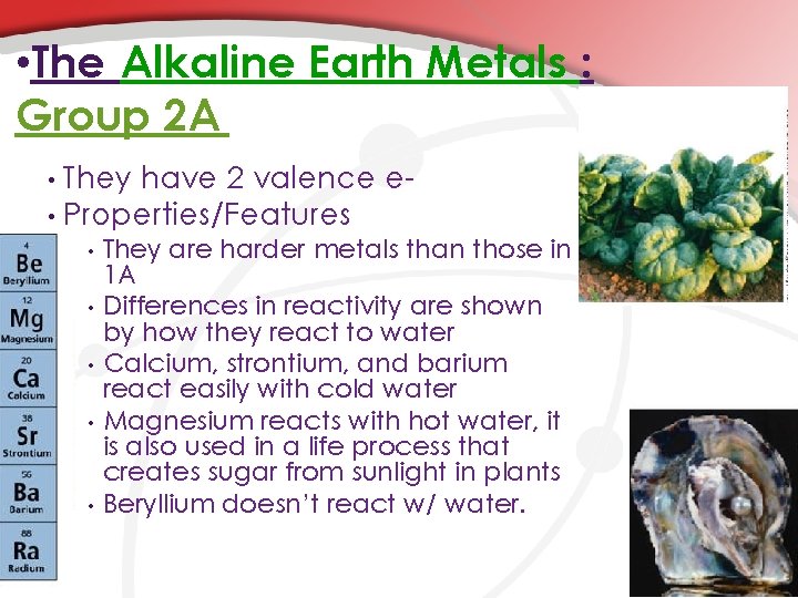  • The Alkaline Earth Metals : Group 2 A They have 2 valence