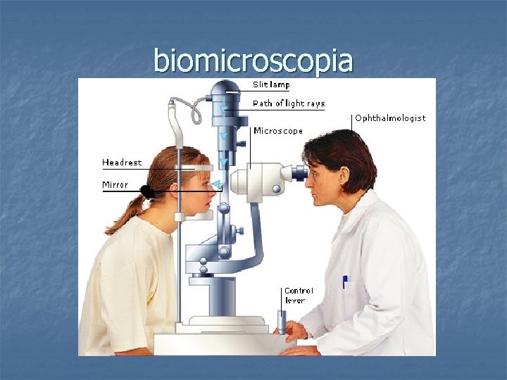 biomicroscopia 