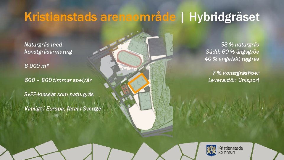 Kristianstads arenaområde | Hybridgräset Naturgräs med konstgräsarmering 93 % naturgräs Sådd: 60 % ängsgröe