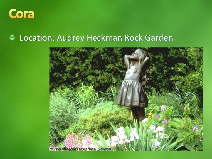 Cora Location: Audrey Heckman Rock Garden 