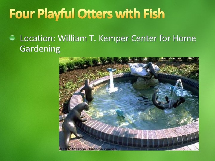 Four Playful Otters with Fish Location: William T. Kemper Center for Home Gardening 