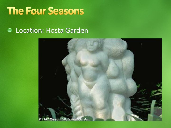 The Four Seasons Location: Hosta Garden 