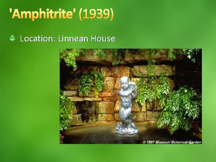 'Amphitrite' (1939) Location: Linnean House 