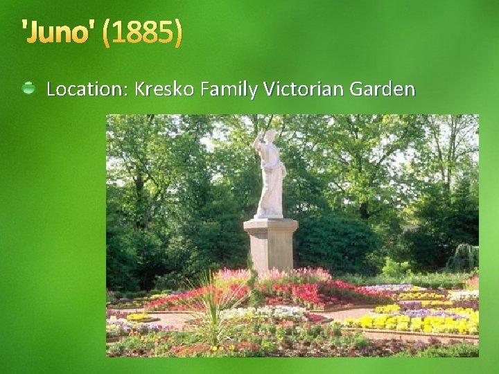 'Juno' (1885) Location: Kresko Family Victorian Garden 