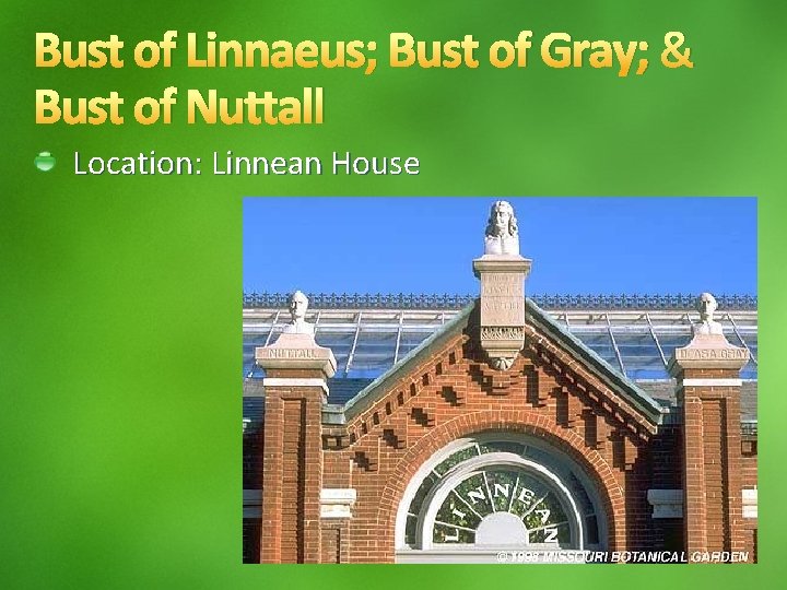 Bust of Linnaeus; Bust of Gray; & Bust of Nuttall Location: Linnean House 