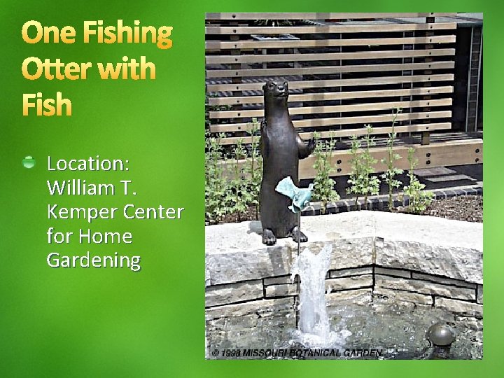 One Fishing Otter with Fish Location: William T. Kemper Center for Home Gardening 