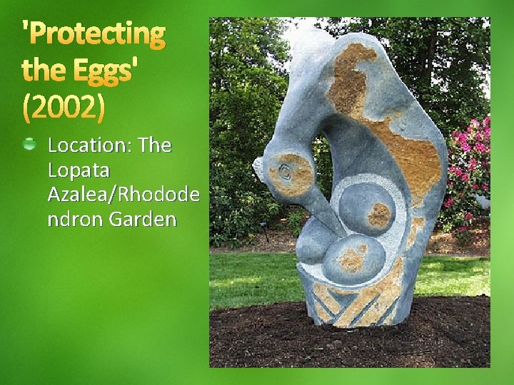 'Protecting the Eggs' (2002) Location: The Lopata Azalea/Rhodode ndron Garden 