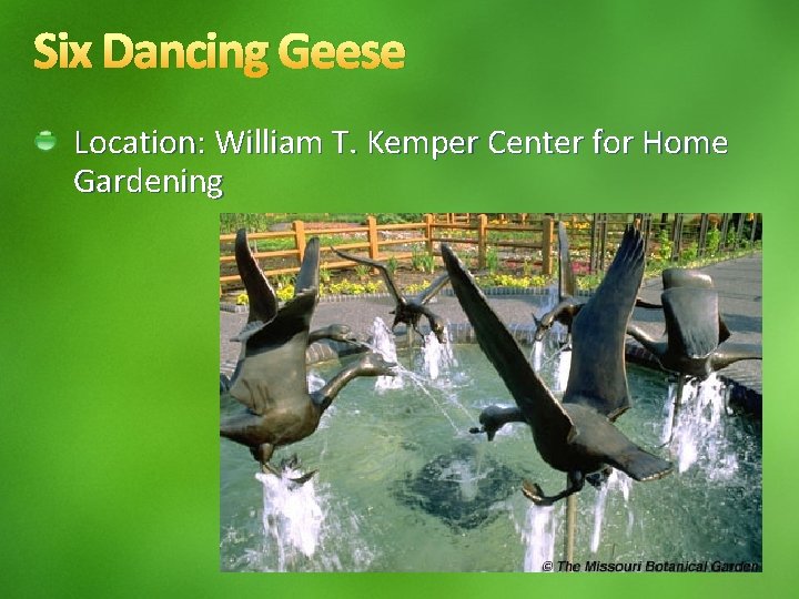 Six Dancing Geese Location: William T. Kemper Center for Home Gardening 