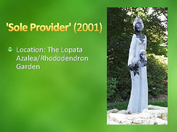 'Sole Provider' (2001) Location: The Lopata Azalea/Rhododendron Garden 