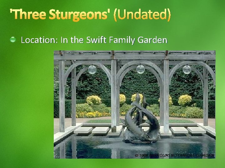 'Three Sturgeons' (Undated) Location: In the Swift Family Garden 