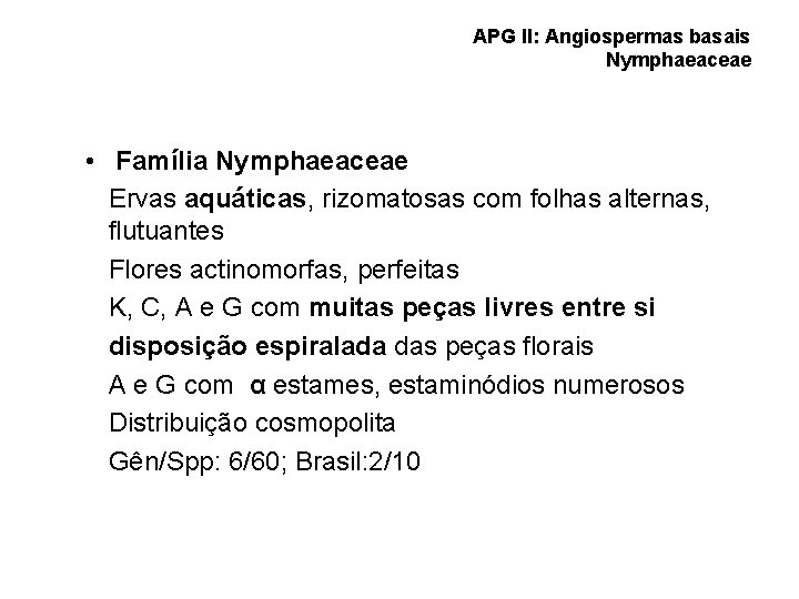 APG II: Angiospermas basais Nymphaeaceae • Família Nymphaeaceae Ervas aquáticas, rizomatosas com folhas alternas,