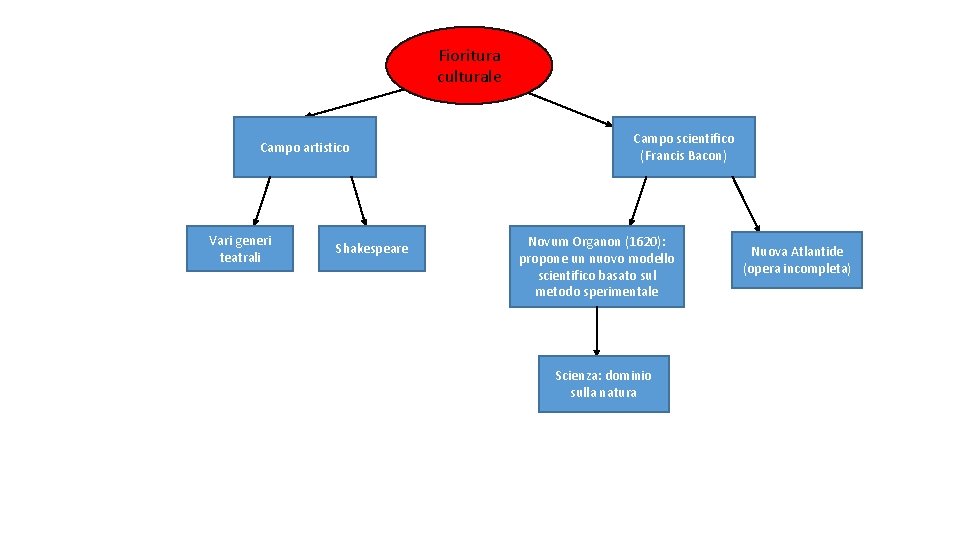 Fioritura culturale Campo artistico Vari generi teatrali Shakespeare Campo scientifico (Francis Bacon) Novum Organon