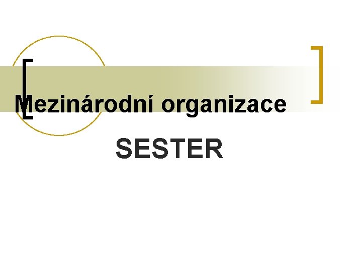 Mezinárodní organizace SESTER 