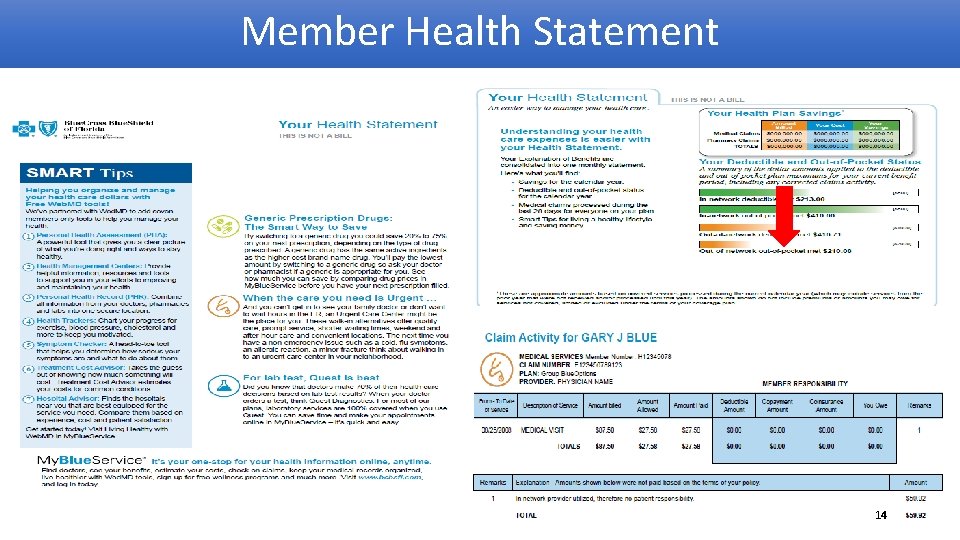 Member Health Statement 14 
