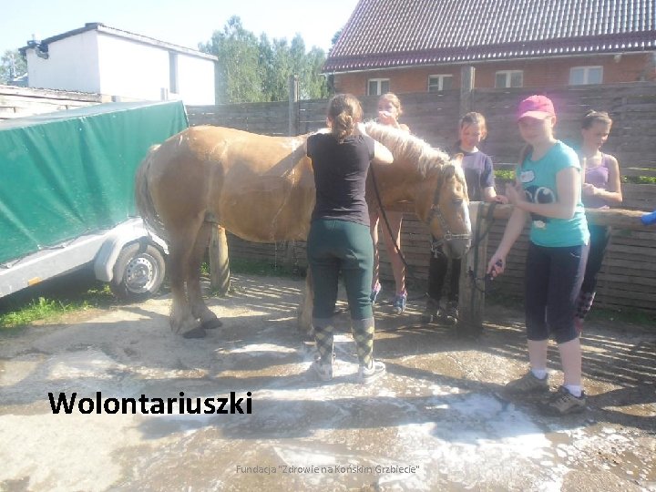 Wolontariuszki Fundacja "Zdrowie na Końskim Grzbiecie" 