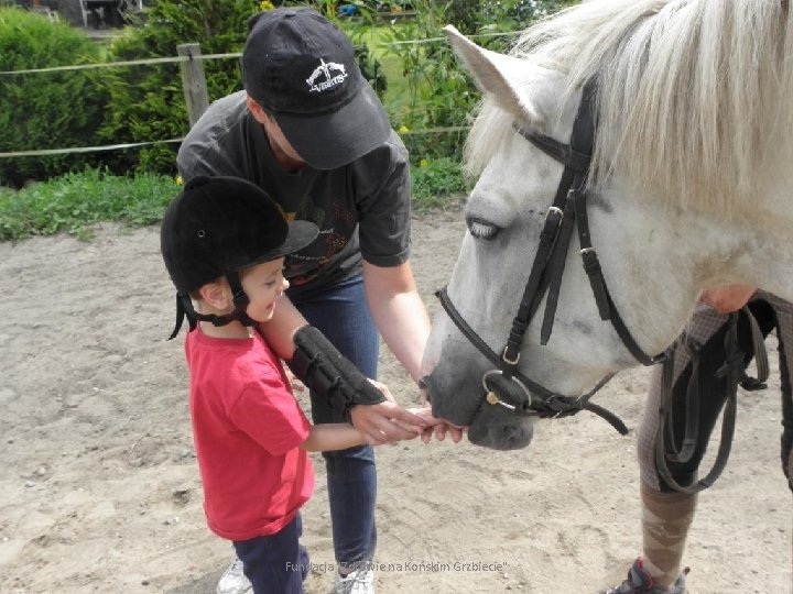 Fundacja "Zdrowie na Końskim Grzbiecie" 