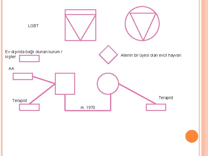 LGBT Ev dışında bağlı olunan kurum / kişiler Ailenin bir üyesi olan evcil hayvan