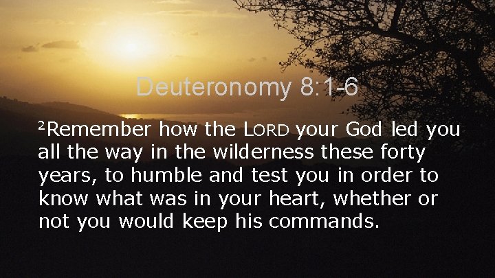Deuteronomy 8: 1 -6 2 Remember how the LORD your God led you all