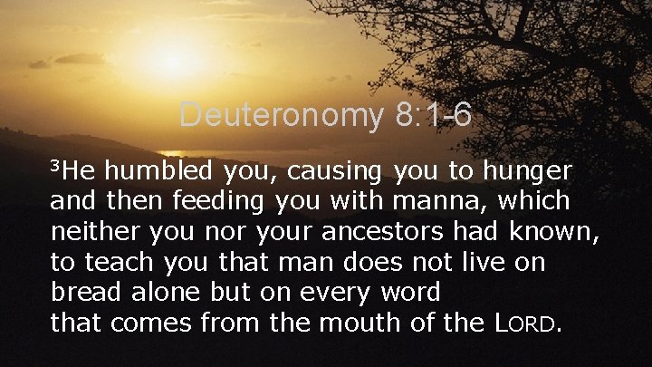 Deuteronomy 8: 1 -6 3 He humbled you, causing you to hunger and then