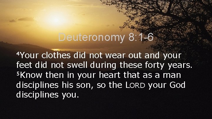 Deuteronomy 8: 1 -6 4 Your clothes did not wear out and your feet