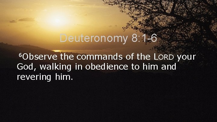 Deuteronomy 8: 1 -6 6 Observe the commands of the LORD your God, walking