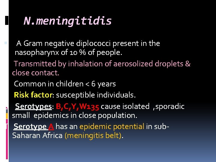 N. meningitidis T C R S T A Gram negative diplococci present in the