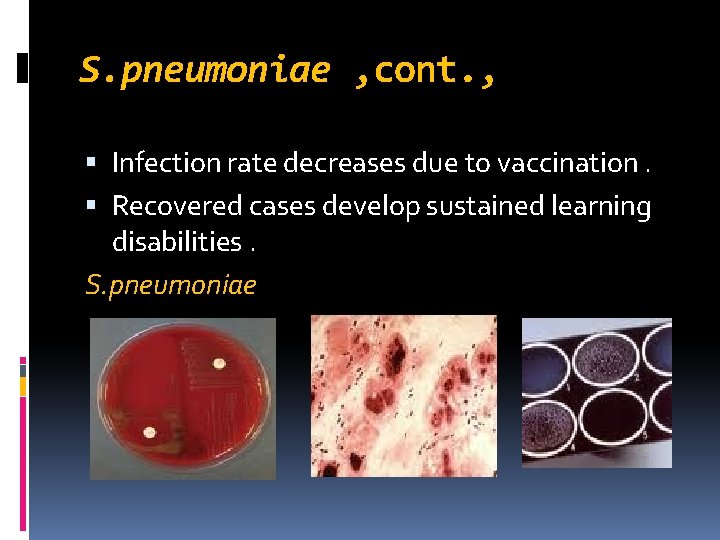 S. pneumoniae , cont. , Infection rate decreases due to vaccination. Recovered cases develop