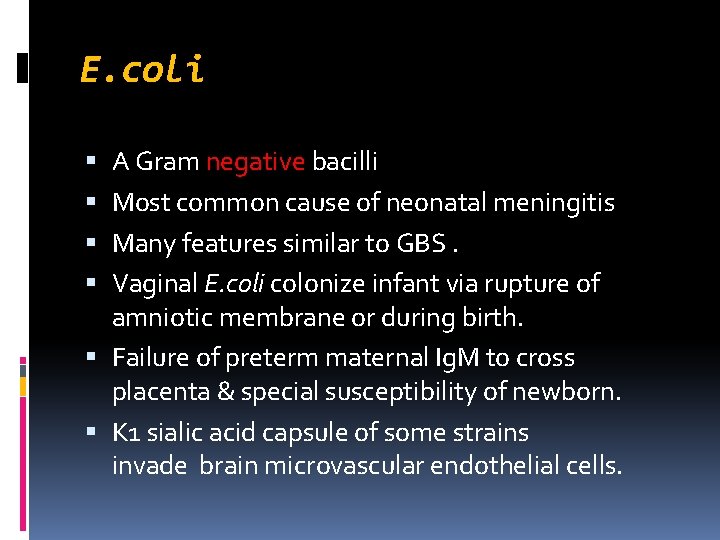 E. coli A Gram negative bacilli Most common cause of neonatal meningitis Many features