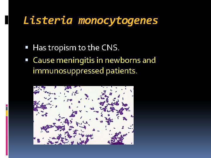 Listeria monocytogenes Has tropism to the CNS. Cause meningitis in newborns and immunosuppressed patients.