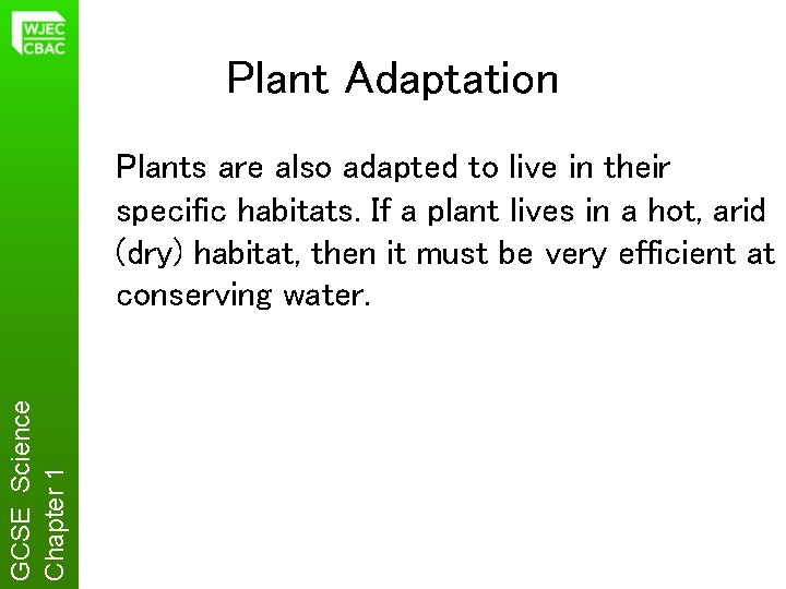 Plant Adaptation GCSE Science Chapter 1 Plants are also adapted to live in their