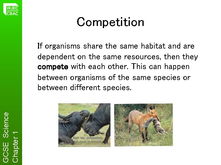 Competition GCSE Science Chapter 1 If organisms share the same habitat and are dependent