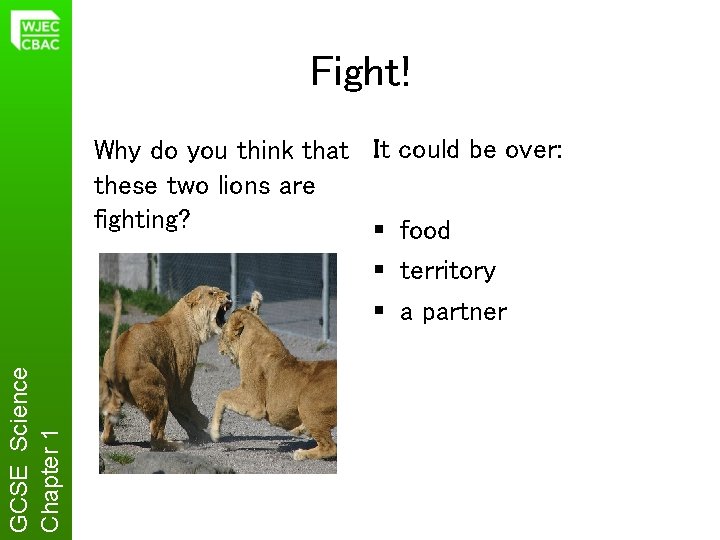 Fight! GCSE Science Chapter 1 Why do you think that It could be over: