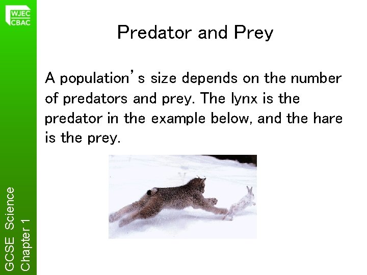 Predator and Prey GCSE Science Chapter 1 A population’s size depends on the number