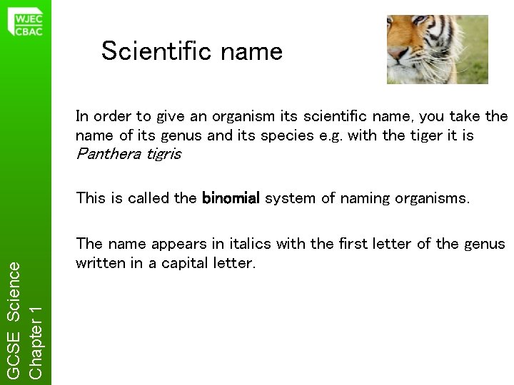 Scientific name In order to give an organism its scientific name, you take the