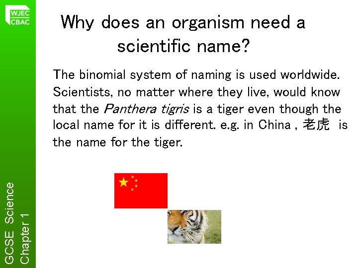 Why does an organism need a scientific name? GCSE Science Chapter 1 The binomial
