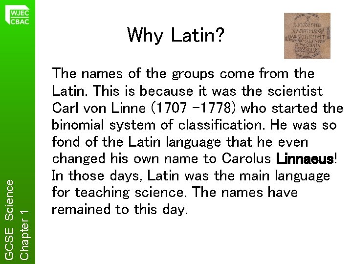 GCSE Science Chapter 1 Why Latin? The names of the groups come from the