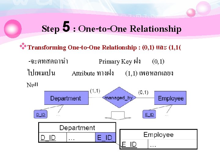 Step 5 : One-to-One Relationship v. Transforming One-to-One Relationship : (0, 1) และ (1,