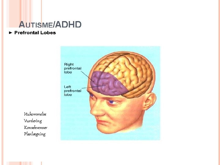 AUTISME/ADHD Hukommelse Vurdering Konsekvenser Planlægning 